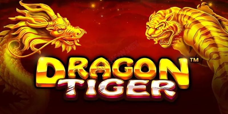 Cách đánh rồng hổ rik chuẩn xác nhất tại nhà cái